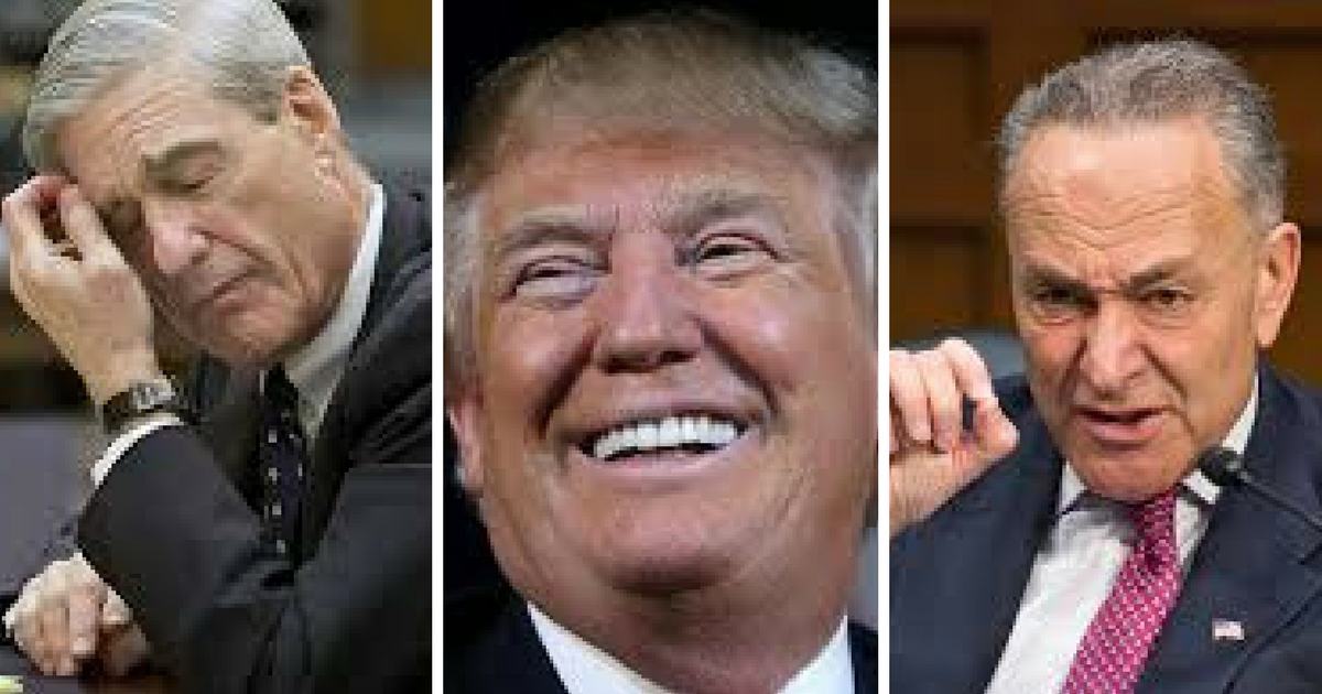 After Russian Probe Ends, Trump Celebrates By Hitting Democrats Right Where It Hurts