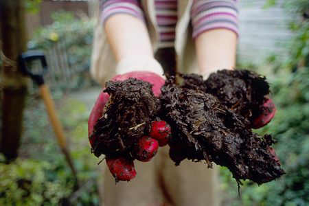 Soil For Raised Beds: How To Make The Best Raised Bed Soil