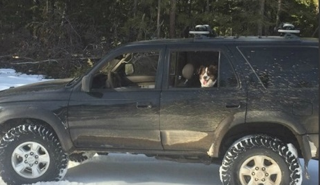 Snowbound Oregon man survived 5 days on taco sauce packets: ‘Taco Bell fire sauce saves lives!’