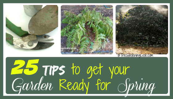 Early Spring Garden Tips – Get Your Garden Ready for Spring