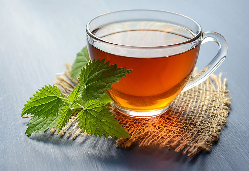 The Amazing Health Benefits of Nettle