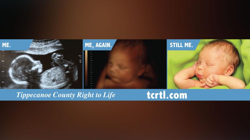 Pro-Lifers Win Legal Battle Over ‘ME,’ ‘ME, AGAIN,’ ‘STILL ME’ Bus Ad