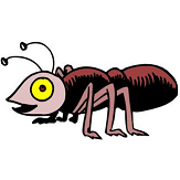 Best Survival Food  | Emergency Survival Skills