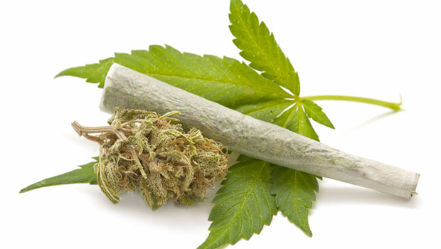 World’s Oldest Woman Attributes Her Long Life to Marijuana