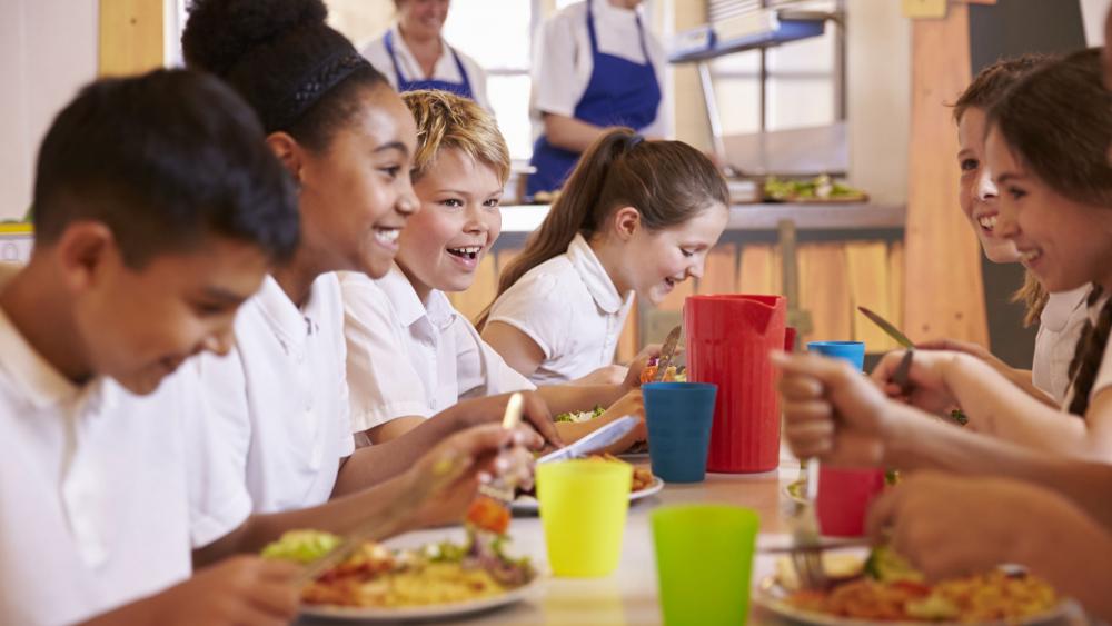 Is your School Lunch program a feedlot or good food!