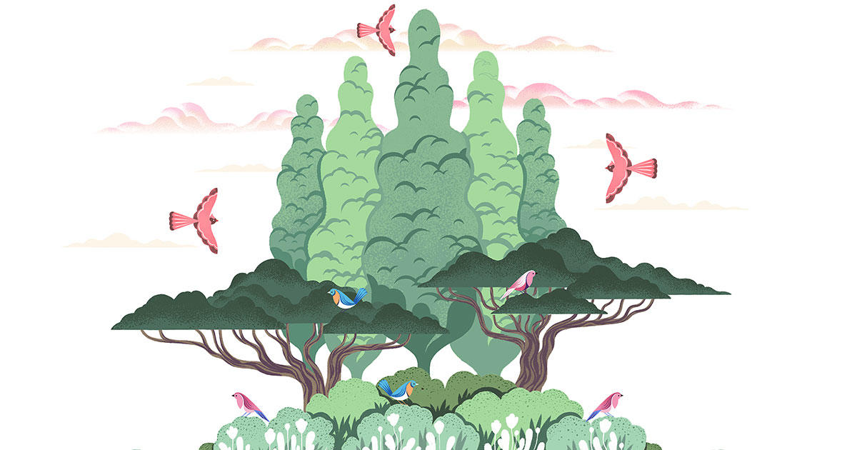 Plant Trees that Turn Your Yard Into a Bird Oasis—and Carbon Sponge