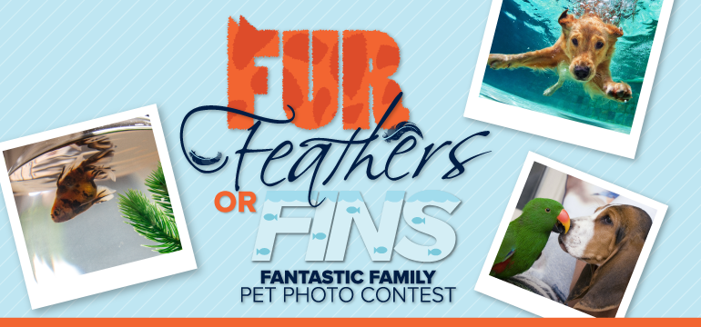 Your Best Pet Photo Could Win A New Motorola Smartphone