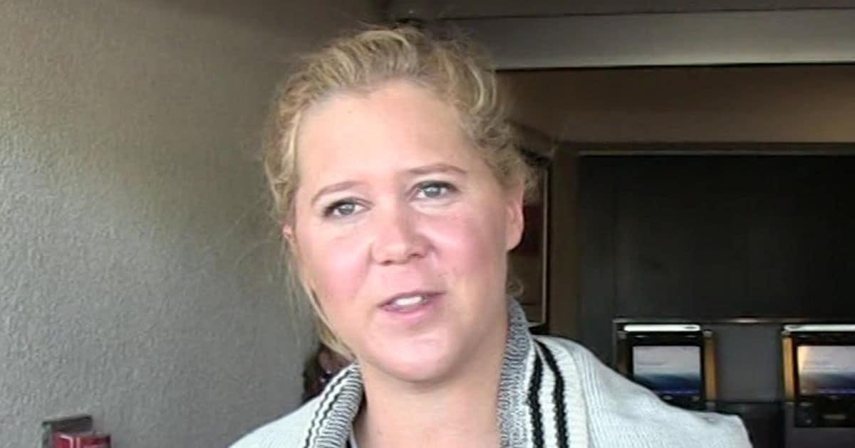 Amy Schumer Welcomes First Child, A Boy, With Husband Chris | TMZ.com