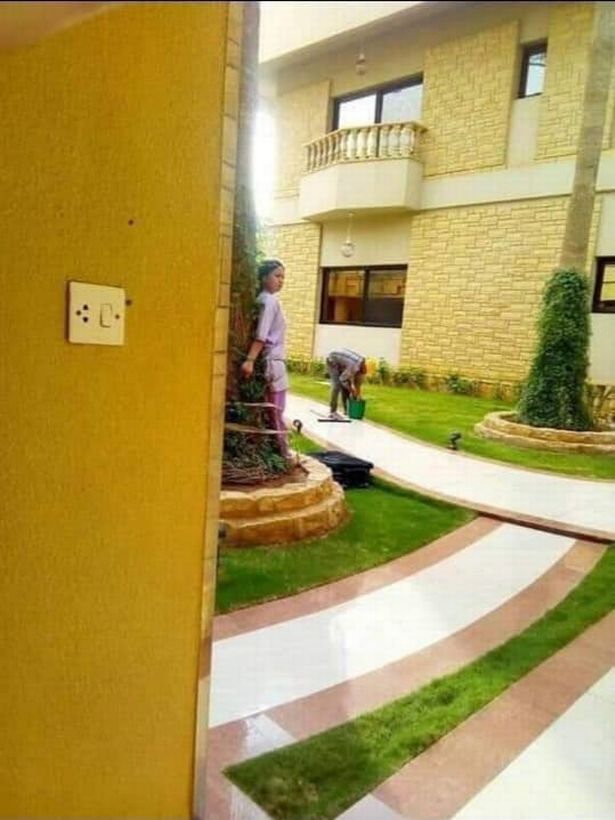 Maid, 26, tied to tree as punishment for leaving furniture outside in the sun