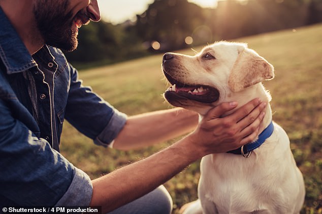 Scientists find choosing whether or not to own a pooch is in-built in your genetic code
