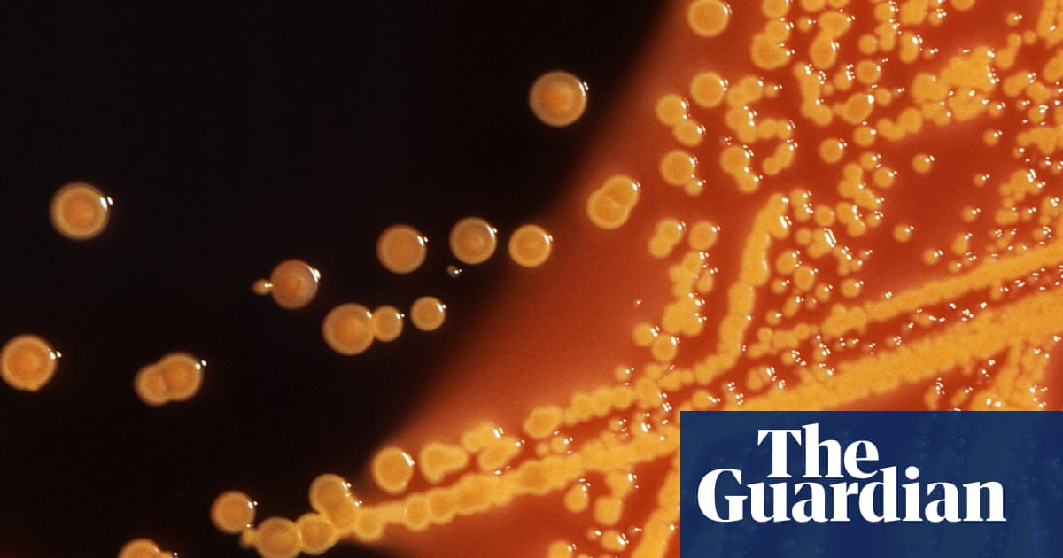 Cambridge scientists create world’s first living organism with fully redesigned DNA | Science | The Guardian