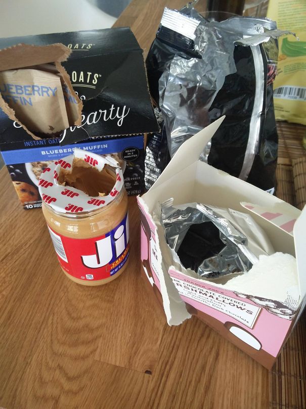 40 Times People Realized They’re Living With A ‘Monster’ And Just Had To Share The Evidence