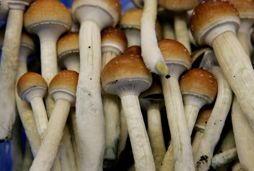 Denver first in U.S. to decriminalize psychedelic mushrooms