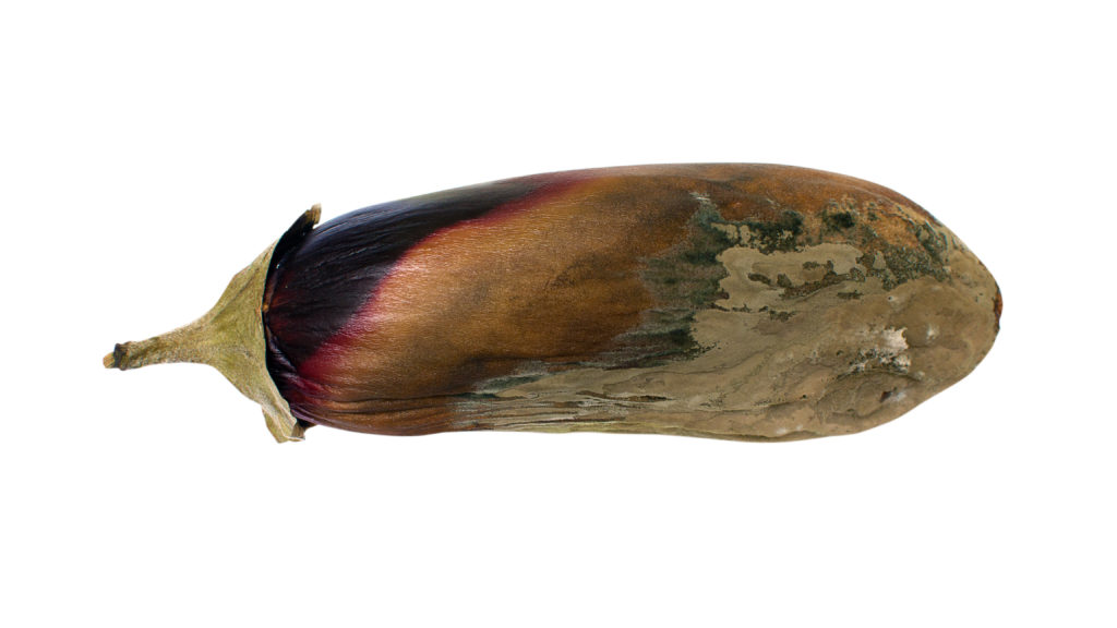 How genetically engineered viruses — and a rotten eggplant — prolonged a teenager’s life