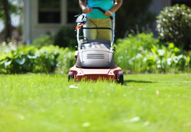 5 Best Electric Lawn Mower Options, Corded and Cordless | Bob Vila