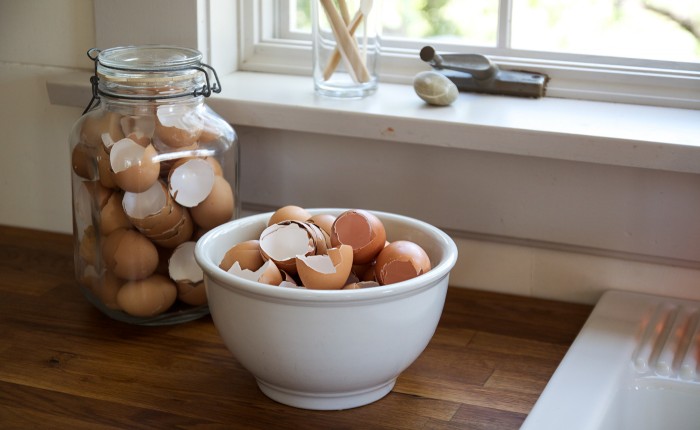 Gardening 101: How to Use Eggshells in the Garden
