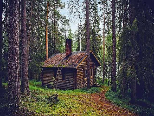 The Four States In America To Live Off The Grid – Next Preppers
