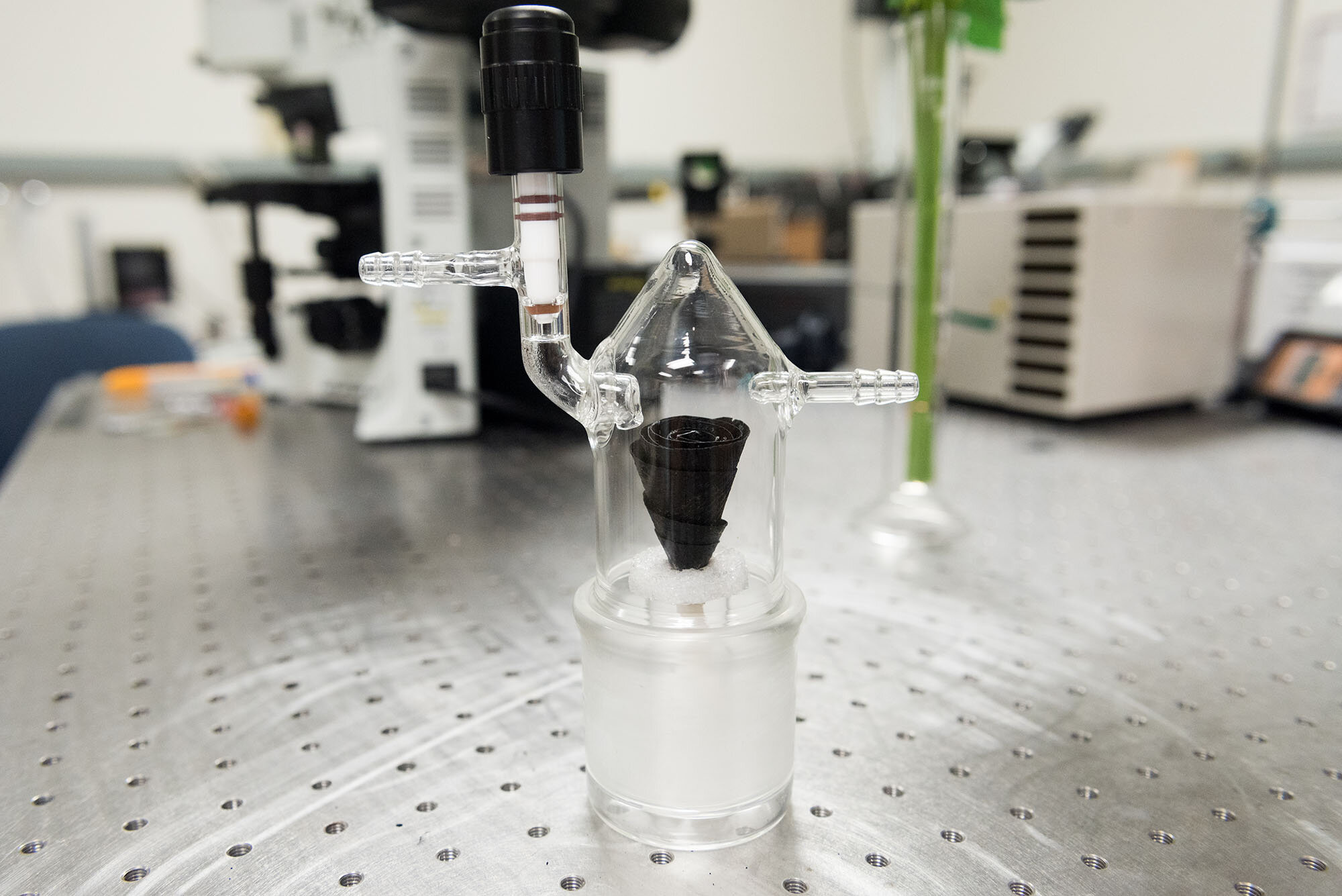 A rose inspires smart way to collect and purify water