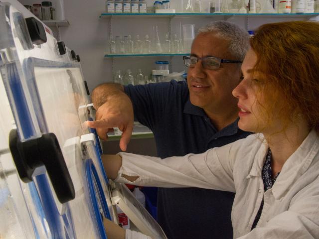 CHEERS!  Israeli Scientists Use Yeast from Ancient Beer to Recreate 5,000-Year-Old Drink