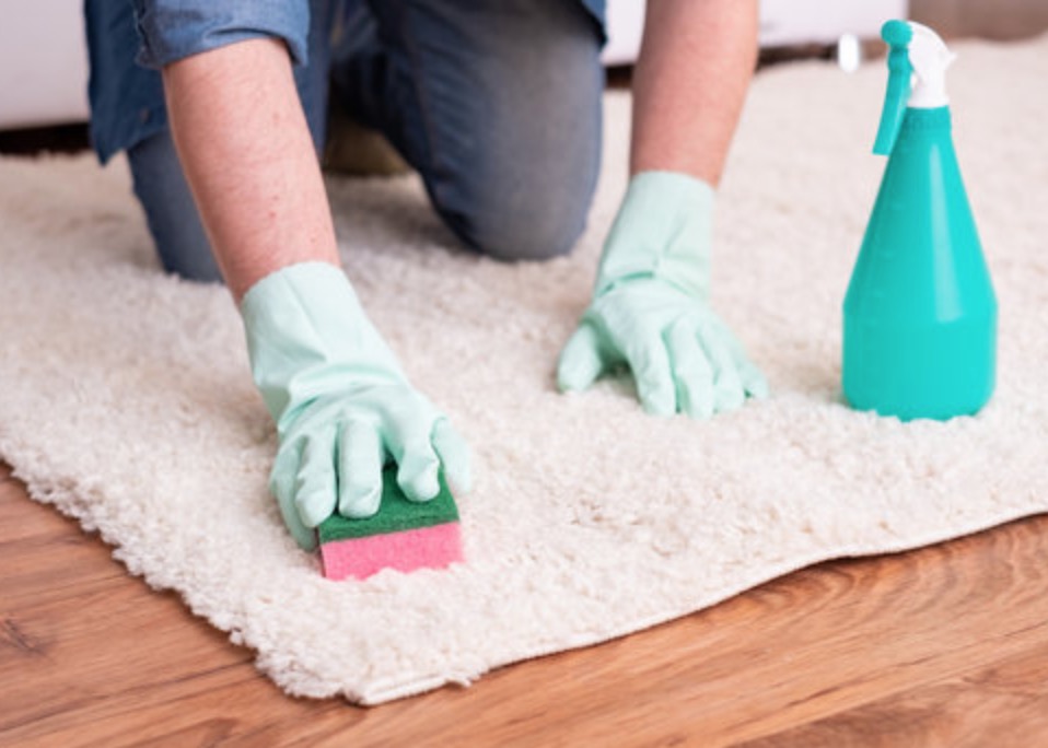 The Best Homemade 3 Ingredient Carpet Stain Remover