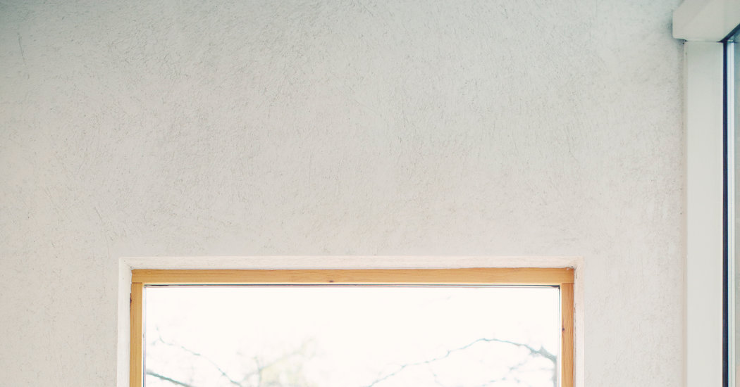 Frances Arnold Turns Microbes Into Living Factories – The New York Times