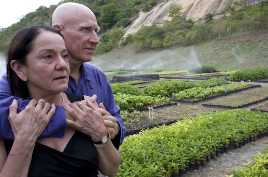 Famed Photographer Sebastião Salgado Plants Two Million Trees With His Wife And 20 Years Later, Creates New Forest
