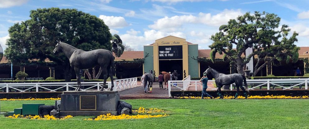 Horses keep dying at Santa Anita racetrack