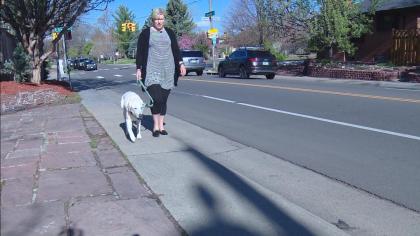 Gene Therapy Gives Colorado Dogs Longer Lives