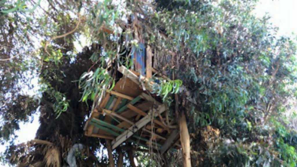 Is Vermin Infestation Making People Sick At Downtown LAPD Station?