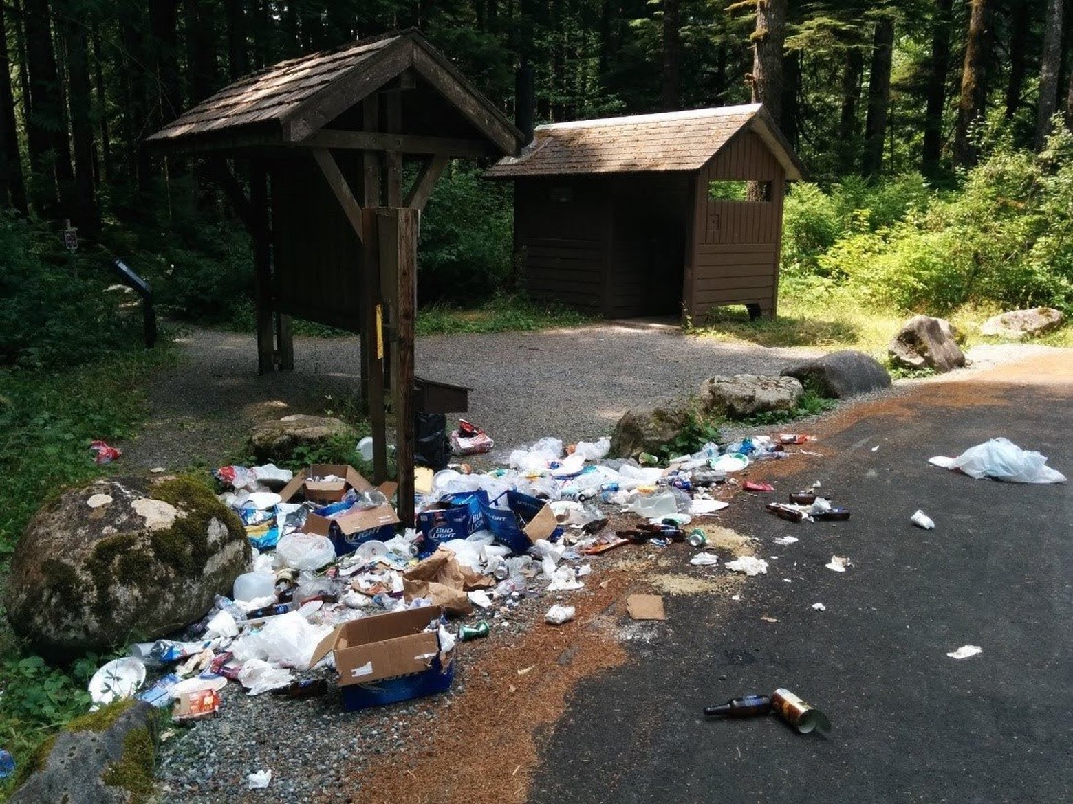Piles of poop, litter on trails, trampled wildflowers. In the social-media era, Washington’s public lands are being destroyed.