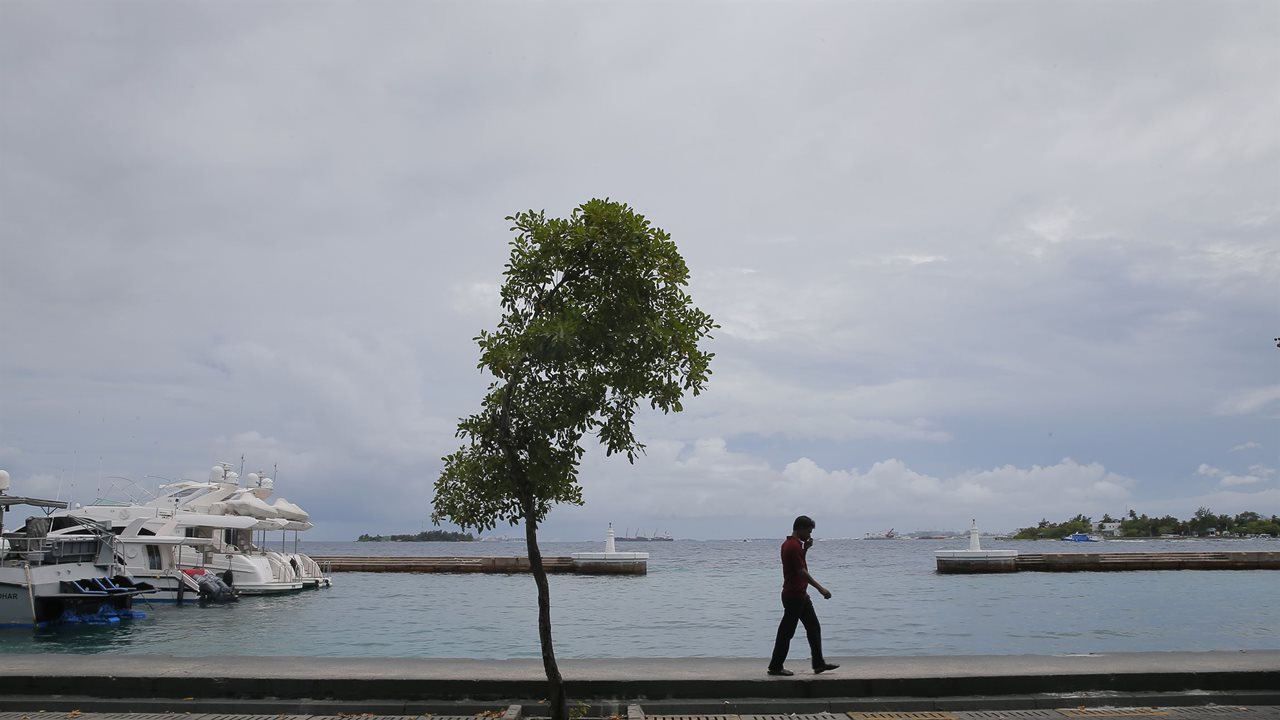 Data Indicate There’s No Need to Panic About Rising Seas