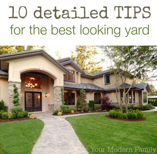 DIY green lawn care tips : 10 detailed tips to get you the best looking lawn in the neighborhood