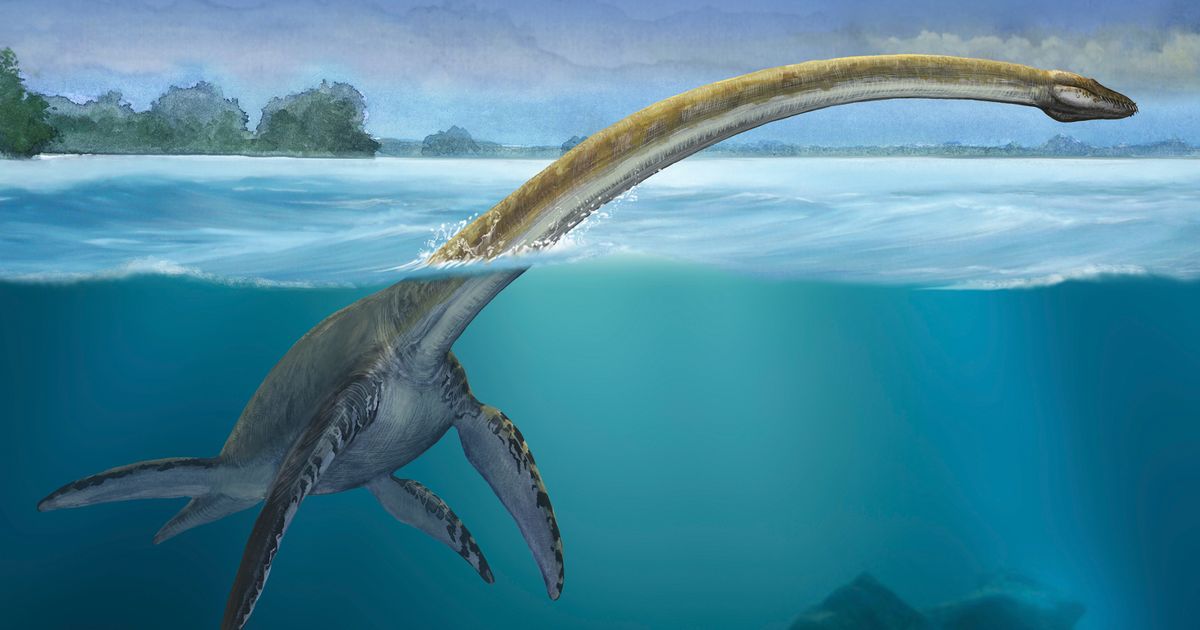‘Real-life Loch Ness Monster’ fossil found in Antarctica after 70 MILLION years – World News – Mirror Online
