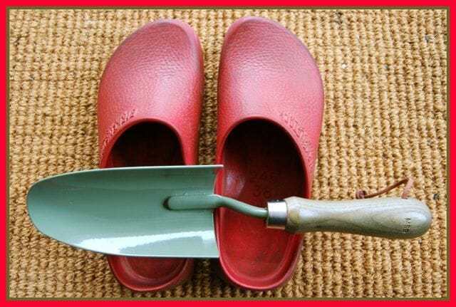 the july garden chores – A Way To Garden