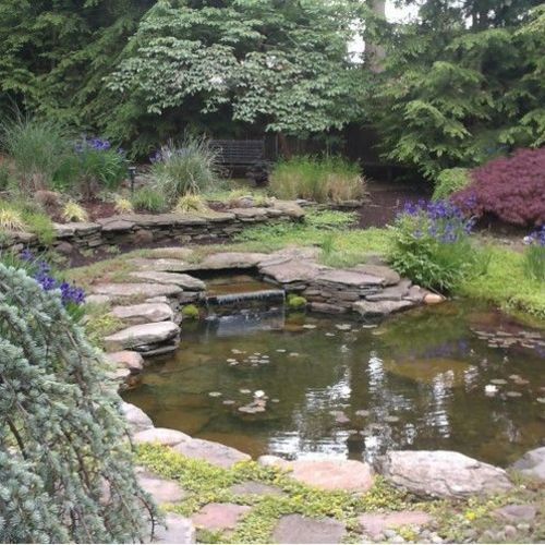 A Secret Garden Behind the Hedge – FineGardening