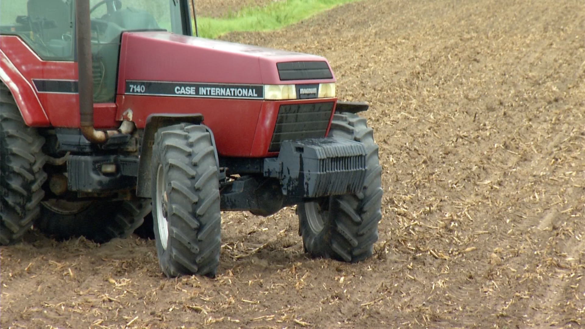 Corn Farmers Face Possibility of Scrapping Whole Season