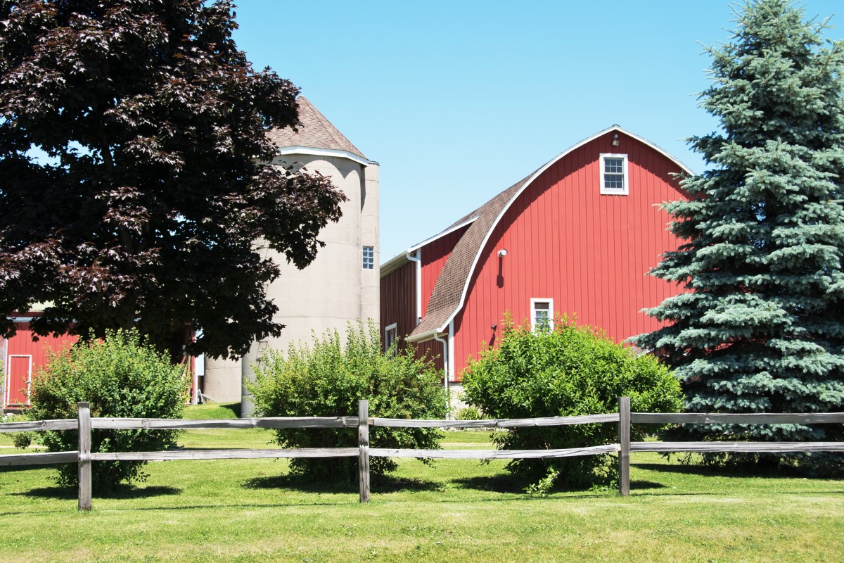 Decorating Your Yard Enclosed by Split Rail Fence
