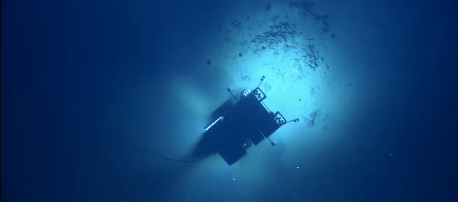Explore Shipwrecks And Coral Reefs From The Comfort Of Your Home With This Virtual Experience
