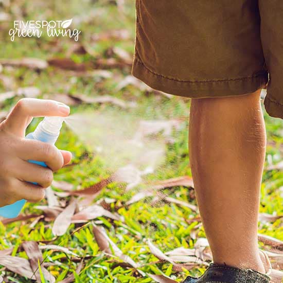 Homemade Tick Repellent Recipe – Five Spot Green Living