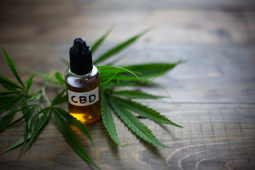 Is CBD Oil a Good Choice for Your Bug-Out-Bag?
