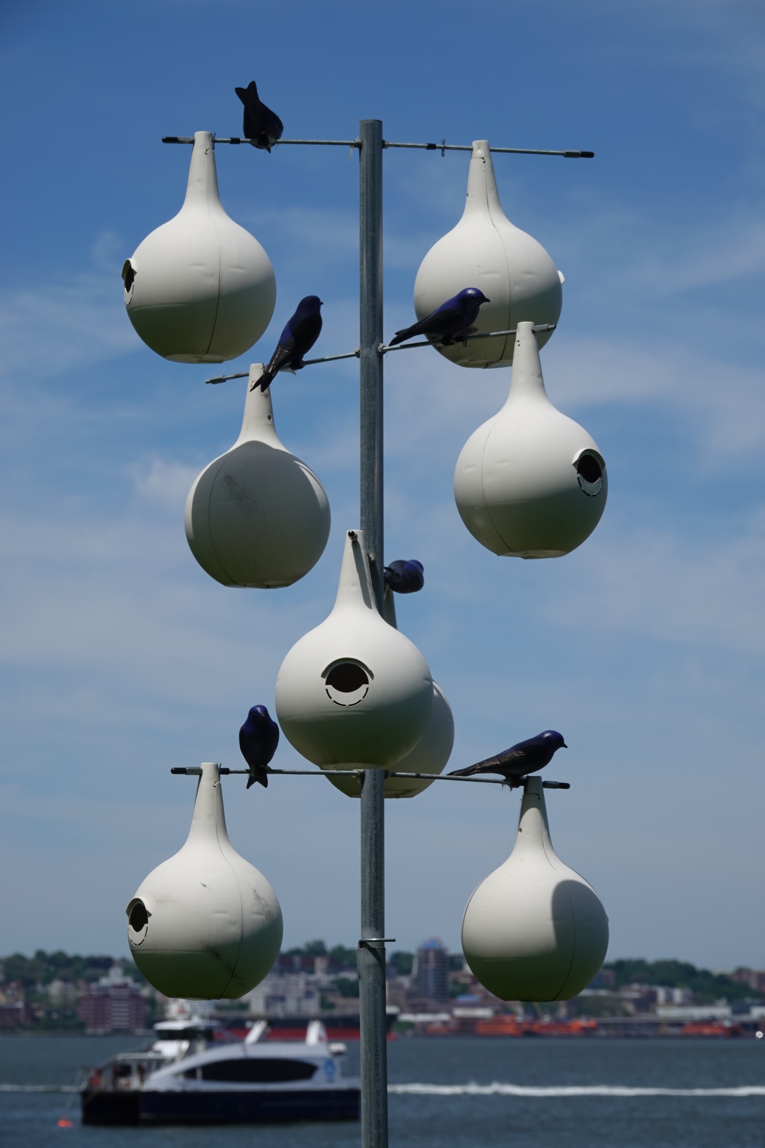 If you build it, they will come… sometimes | Backyard and Beyond