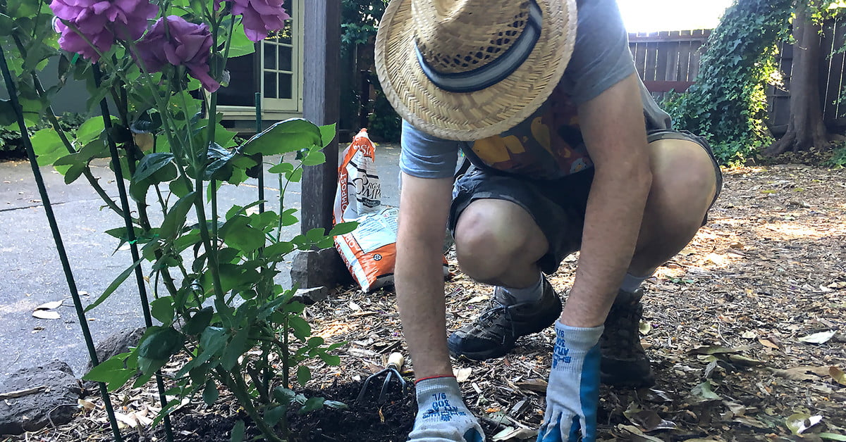 The 7 Best Gardening Apps for Android and iOS | Digital Trends