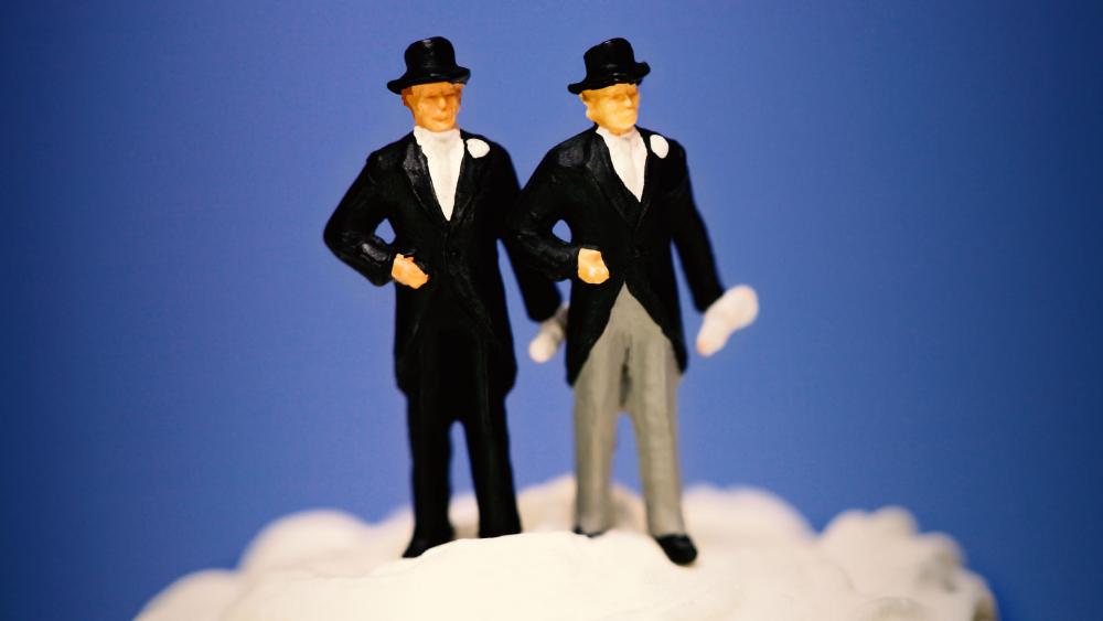 Elizabeth Warren Wants to Give $57M in Taxpayer Money as Reparations to LGBT Couples