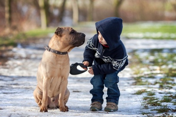CHILDREN WHO ARE RAISED WITH A DOG HAVE LOWER BLOOD PRESSURE