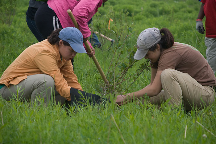 Students In Philippines Need To Plant 10 Trees To Graduate And It’ll Result In 525 Million New Trees In One Generation