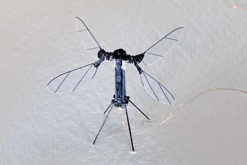 insect robot has four wings and weighs under a gram
