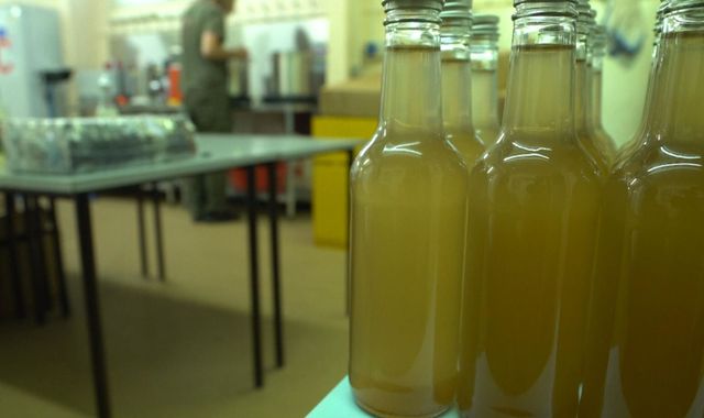 Foraging for your dinner encouraged in community drive