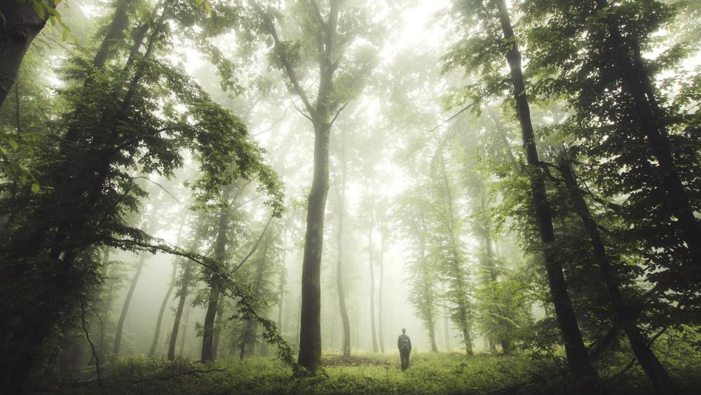 Missing for 6 Days Praises Jesus After Longshot Rescue