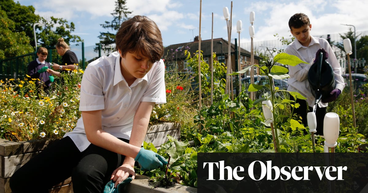 Weeding, writing and arithmetic… why green fingers are good for our children | Environment