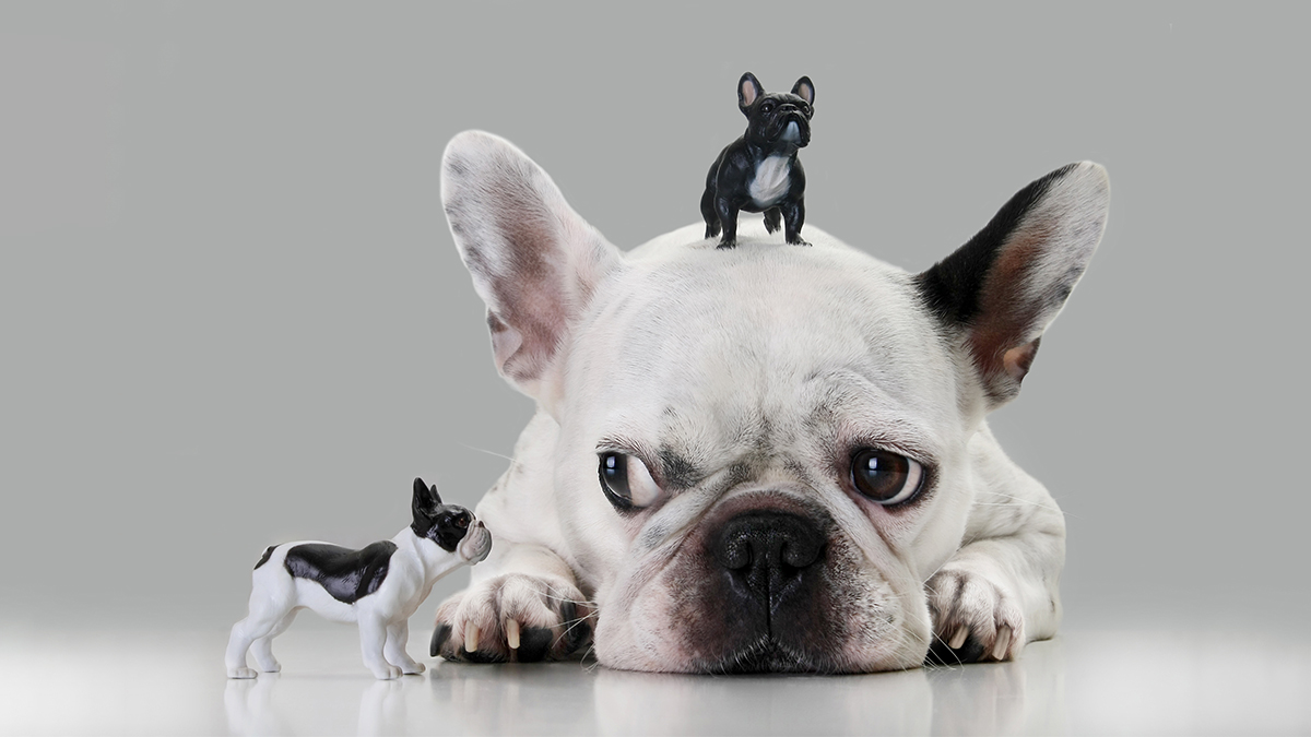 Why Criticism Is Good for Creativity